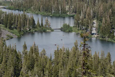 DSC_3200 (Large).JPG